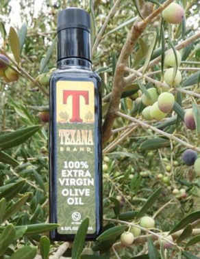 Image of Texana Brand extra virgin olive oil sitting in an olive tree.