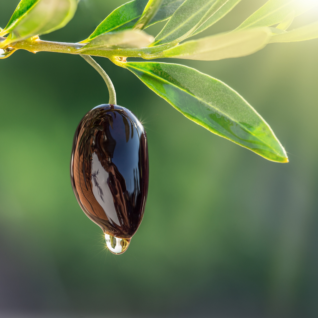 Choosing the Best EVOO for Your Health: A Guide