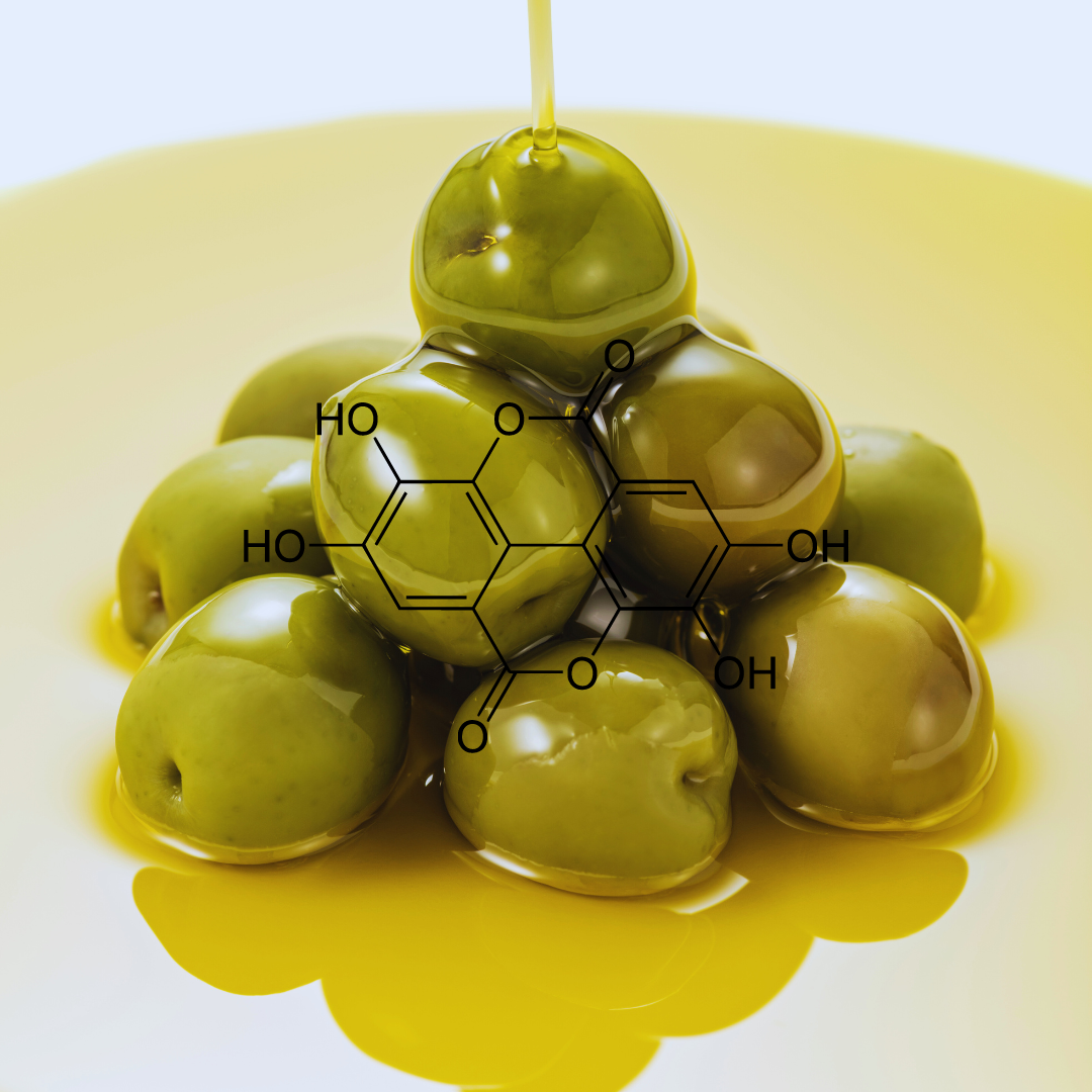 Polyphenol Rich Olive Oil: Not Just Any Olive Oil