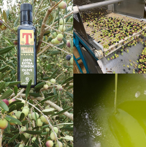 How Olive Oil Is Made: An Overview